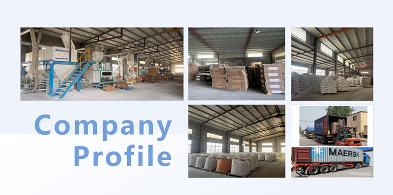 company profile-11.jpg