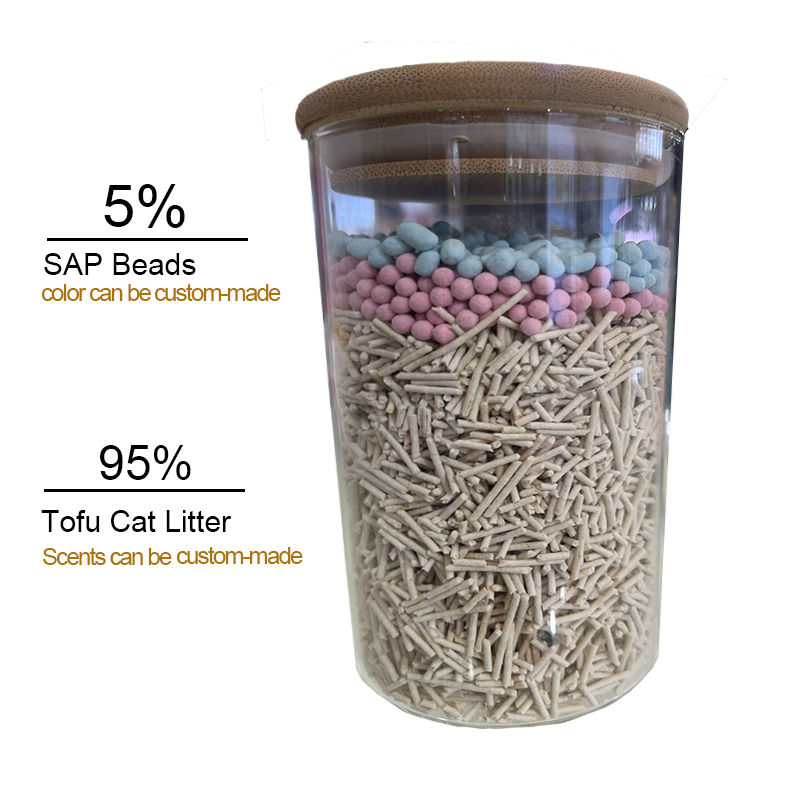 SAP 混 豆腐 20250317.jpg